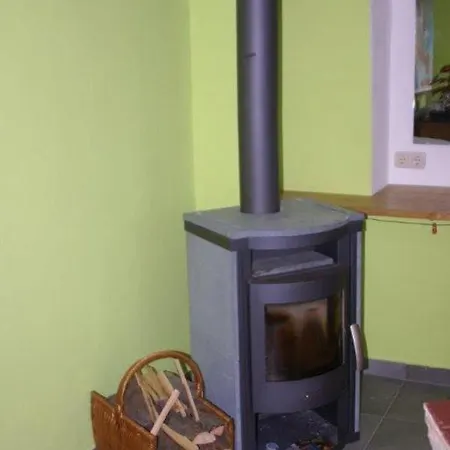 Wagner Altenberg